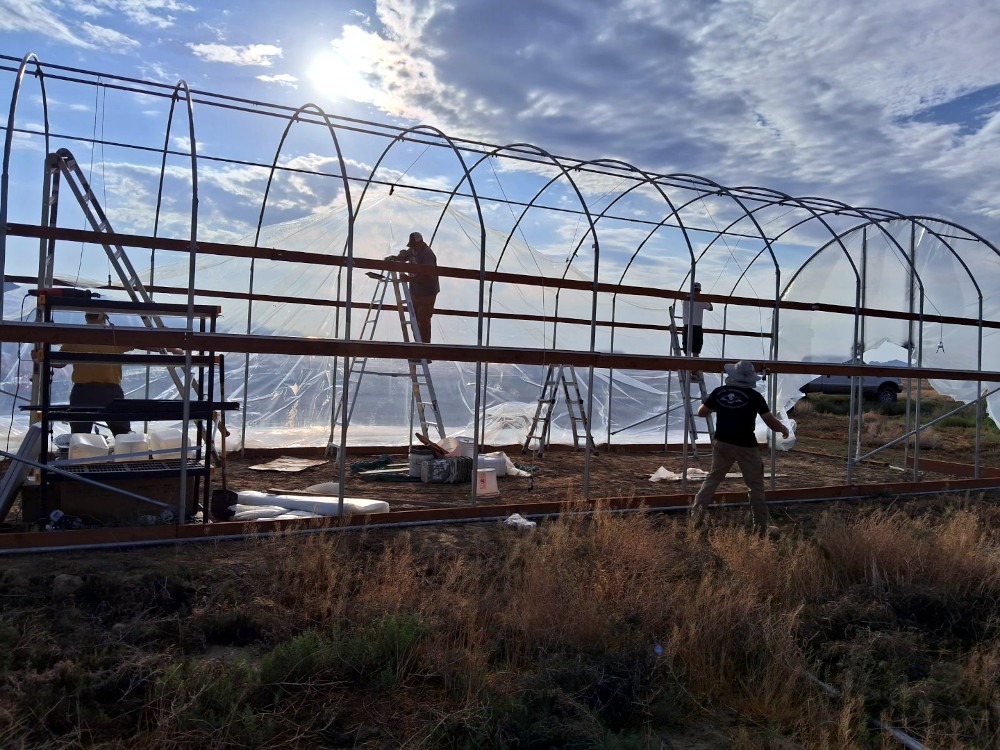 What Happens to a Greenhouse on a Cold Desert Night?
